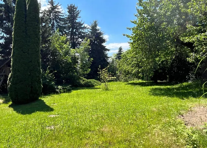 Zum Muentzer Apartment *